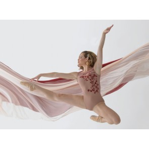 Ballet Rosa Adele Mouwloos Balletpak Roze